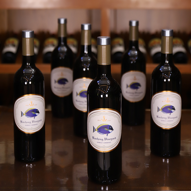 小丑鱼西拉赤霞珠干红葡萄酒