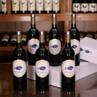 小丑鱼西拉赤霞珠干红葡萄酒